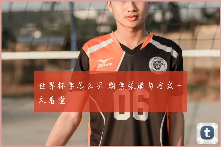 世界杯票怎么买 购票渠道与方式一文看懂