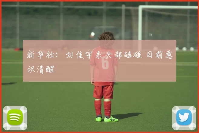 新华社：刘佳宇系头部磕碰 目前意识清醒