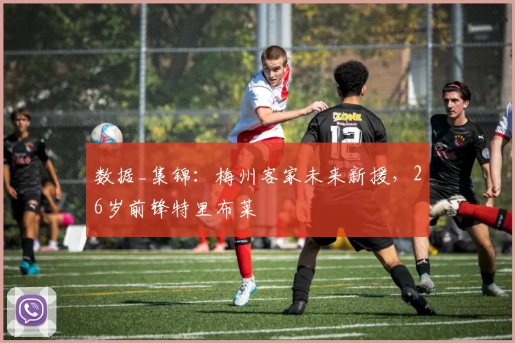 数据_集锦:梅州客家未来新援,26岁前锋特里布莱