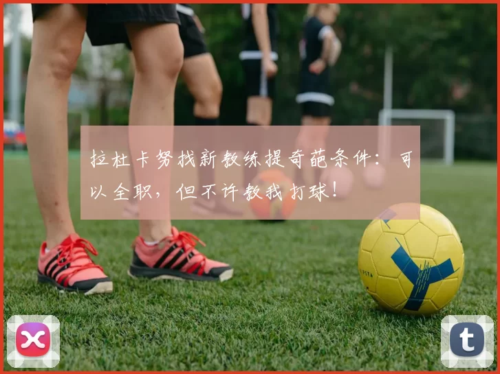 拉杜卡努找新教练提奇葩条件：可以全职，但不许教我打球！